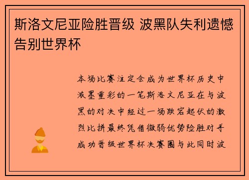 斯洛文尼亚险胜晋级 波黑队失利遗憾告别世界杯